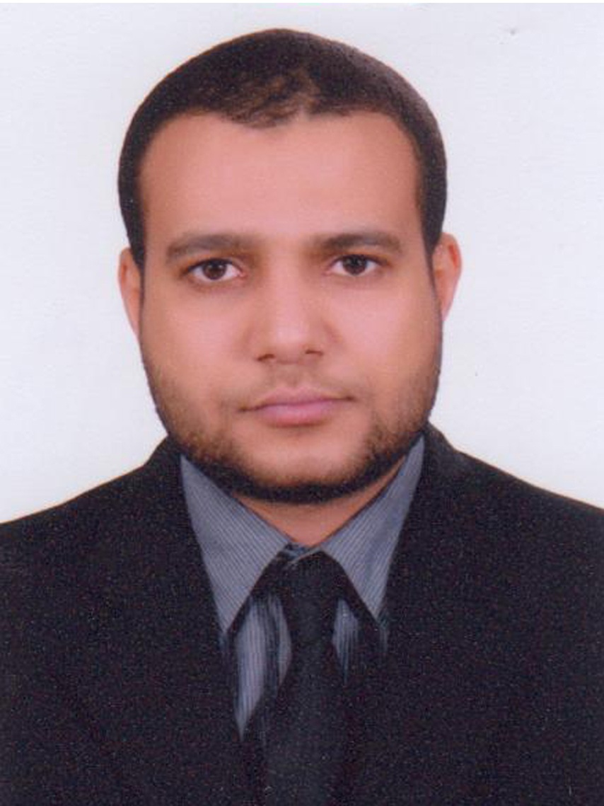 Ahmed Sayed Abdel-Rasoul Ali
